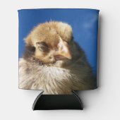 Hühner, Tiere, Küken, Vögel, Hof, Maske, niedlich, Dosenkühler (Vorderseite)