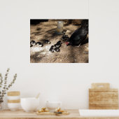 Hühner- und Babyposter Poster (Küche)