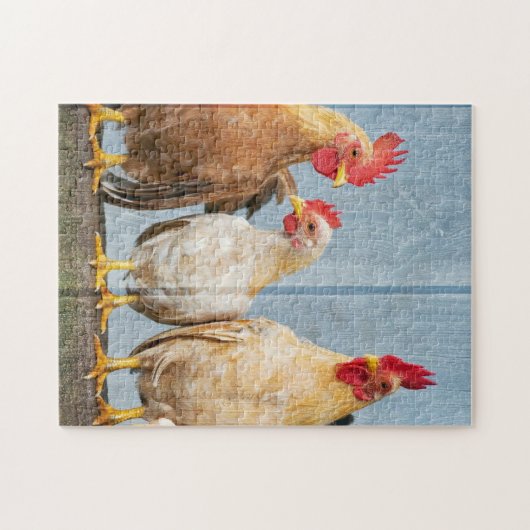 Hühner und Freunde Puzzle (Horizontal)
