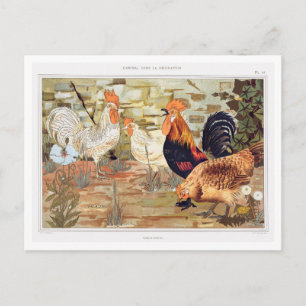 Hühner und Hähne Illustration von Verneuil Vintage Postkarte