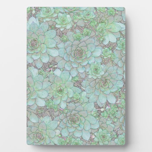 Hühner und Hühner Fotoplatte (Vorderseite)