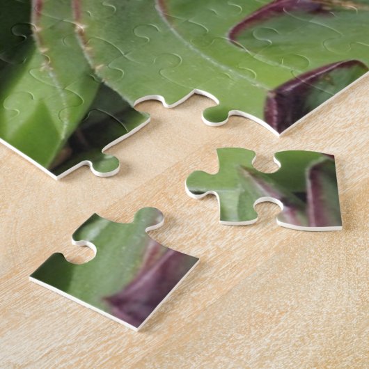 Hühner und Hühner Gartensukkulente Natur Puzzle (Seite)