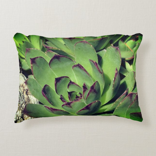 Hühner und Hühner-Gartensukkulturen Nah Dekokissen (Vorderseite)