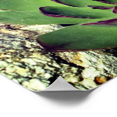 Hühner und Hühner-Gartensukkulturen Nah Poster (Ecke)