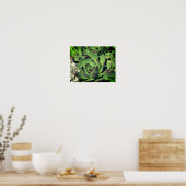 Hühner und Hühner-Gartensukkulturen Nah Poster (Küche)