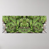 Hühner und Hühner-Hühnersukkulturen spiegeln Abstr Poster (Vorne)