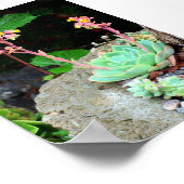 Hühner und Hühner in Blütendruck oder Poster (Ecke)