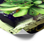 Hühner und Hühner in einem Eimer Poster (Ecke)