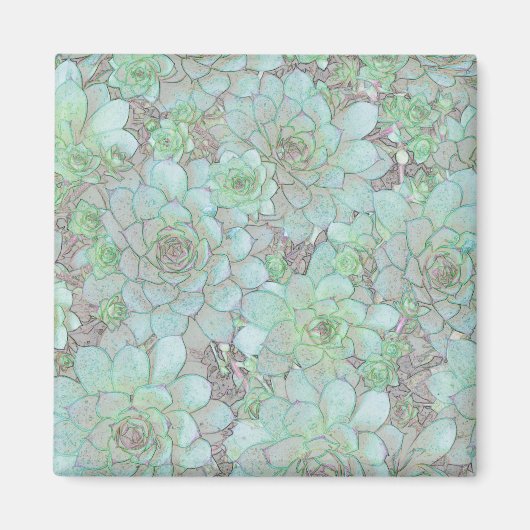 Hühner und Hühner Magnet (Vorne)