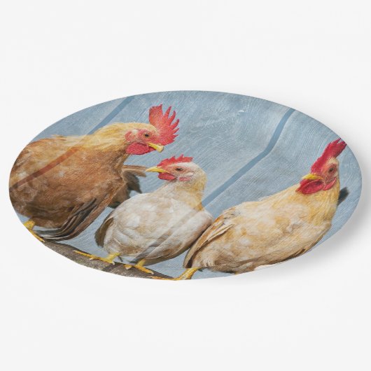 Hühner und Hühner Pappteller (Schrägansicht)