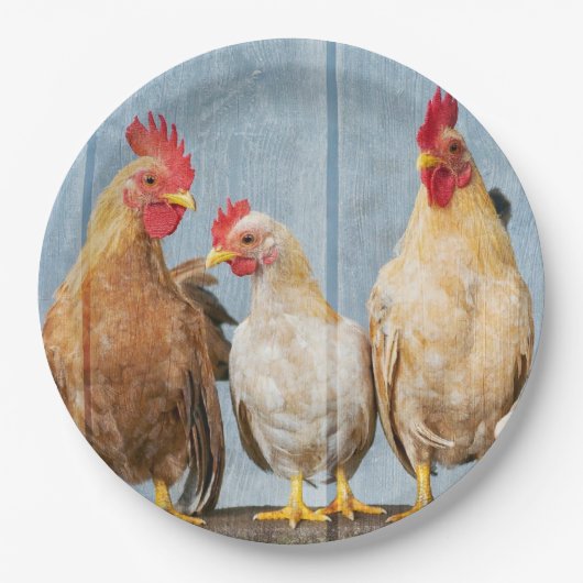 Hühner und Hühner Pappteller (Vorderseite)