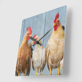 Hühner und Hühner Quadratische Wanduhr (Winkel)