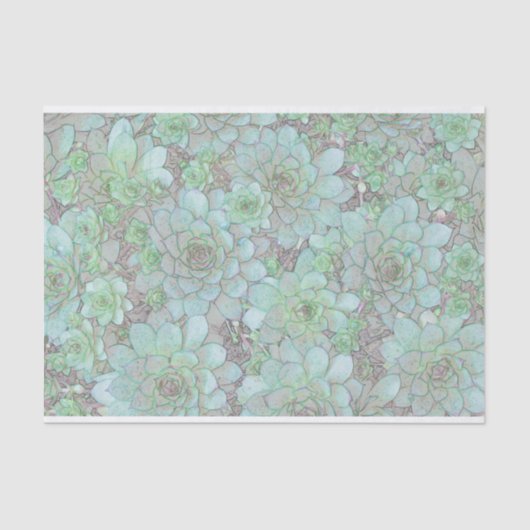 Hühner und Hühner Seidenpapier (Vorderseite)