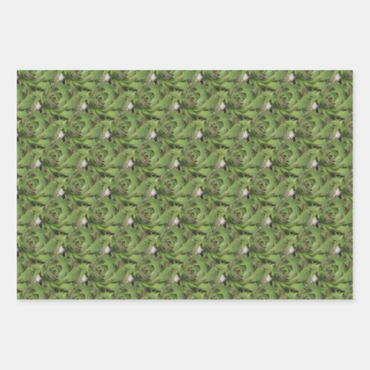 Hühner und Hühner-Sukkulente Naturmuster Geschenkpapier Set (Vorderseite)