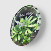 Hühner und Hühner, Sukkulturen in Eimern Personali Runde Wanduhr (Winkel)