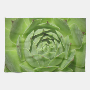 Hühner und Küchentuch