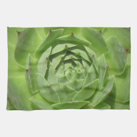 Hühner und Küchentuch (Horizontal)