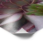 Hühner und Küken Fotodruck (Ecke)