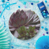 Hühner und Küken Pappteller (Party)