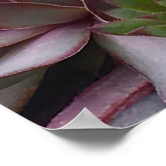 Hühner und Küken Poster (Ecke)