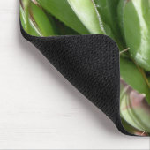Hühner und Küken (Sempervivum) Mousepad (Ecke)