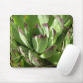 Hühner und Küken (Sempervivum) Mousepad (Mit Mouse)
