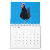 Hühner und Rinder, Kalender (Jan 2026)