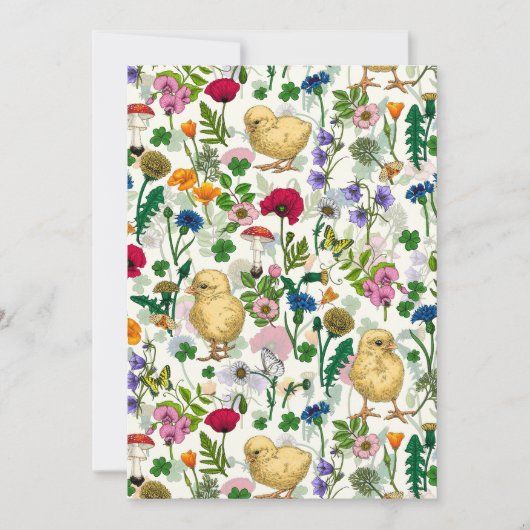 Hühner und Wildblumen auf weiß (Vorderseite)