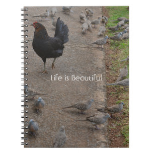 Hühner Vögel Kauai (meine Fotografie) Notizblock