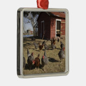 Hühnerarbeitsplätze in der Nähe von Hühnerstall Cl Ornament Aus Metall (Rechts)