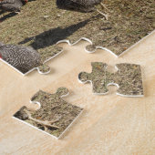 Hühnerarbeitsplätze in der Nähe von Hühnerstall Cl Puzzle (Seite)