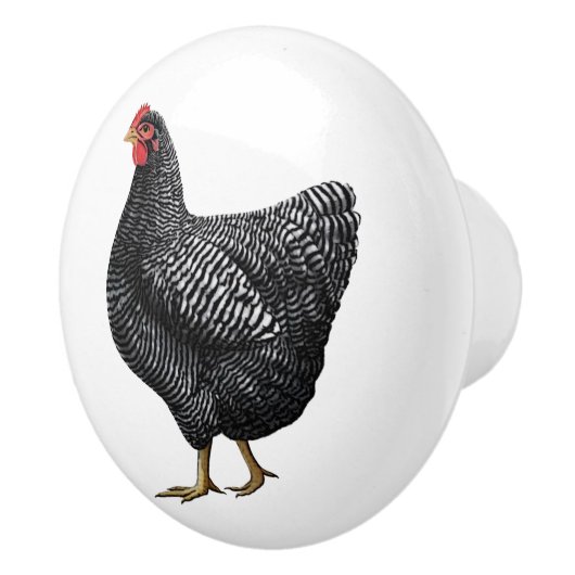 Hühnerbaum-Schubladen Keramikknauf (Rechts)