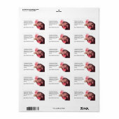 Hühnerbild Orange Red Hen Adressaufkleber (Vorne)