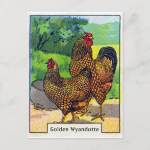 Hühnerdruck im Vintage-Stil Postkarte