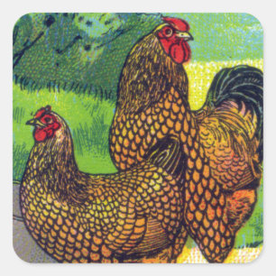 Hühnerdruck im Vintage-Stil Quadratischer Aufkleber