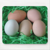 Hühnereier Mousepad (Vorne)