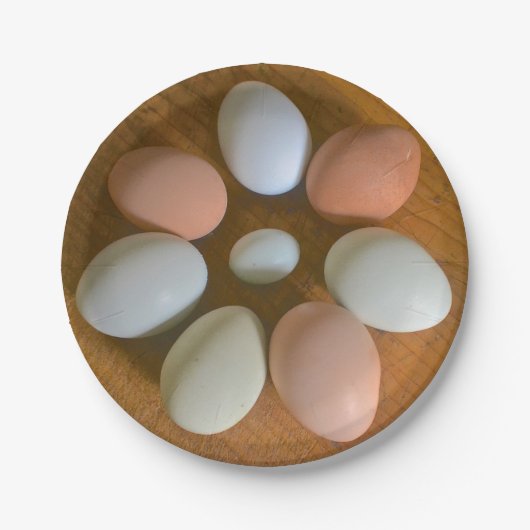 Hühnereiteigenpapierplatte Pappteller (Vorderseite)