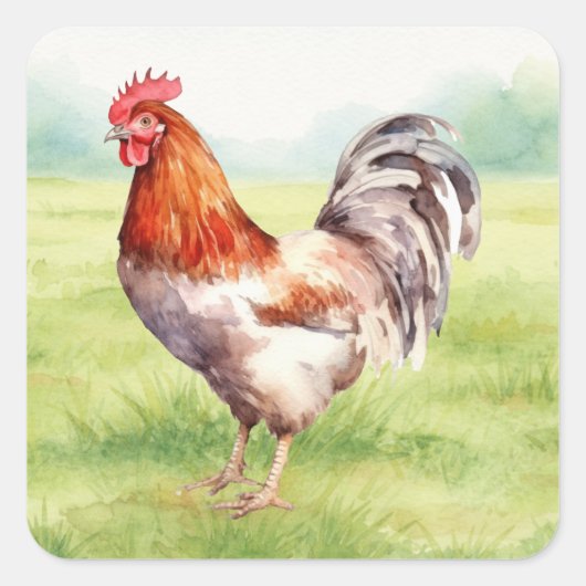Hühnerfarm-Aufkleber Quadratischer Aufkleber (Vorderseite)