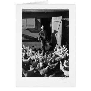 Hühnerfarm Mori Nakashima 1943