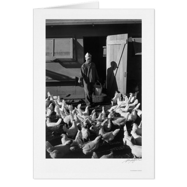 Hühnerfarm Mori Nakashima 1943 (Vorne)