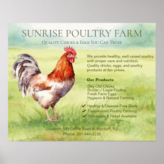 Hühnerfarm  poster (Vorne)
