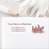 Hühnerfarm Rooster and Hens Plymouth Rock (Insitu)