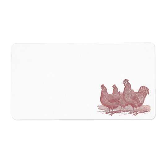 Hühnerfarm Rooster and Hens Plymouth Rock (Vorne)