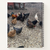 Hühnerfaser Notizblock (Rückseite)