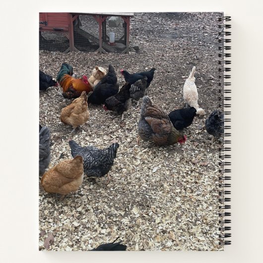 Hühnerfaser Notizblock (Rückseite)