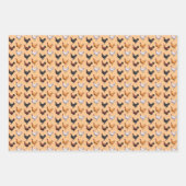 Hühnerfeder Geschenkpapier Set (Vorderseite)