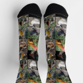 Hühnerfoto-Collage, Crew Socken (Oben)