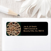 Hühnergeflügel der Welt (Insitu)