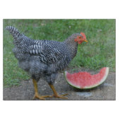 Hühnerglas-Schneidplatte Schneidebrett (Vorderseite)