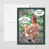 Hühnerhumor Postkarte (Vorne/Hinten)
